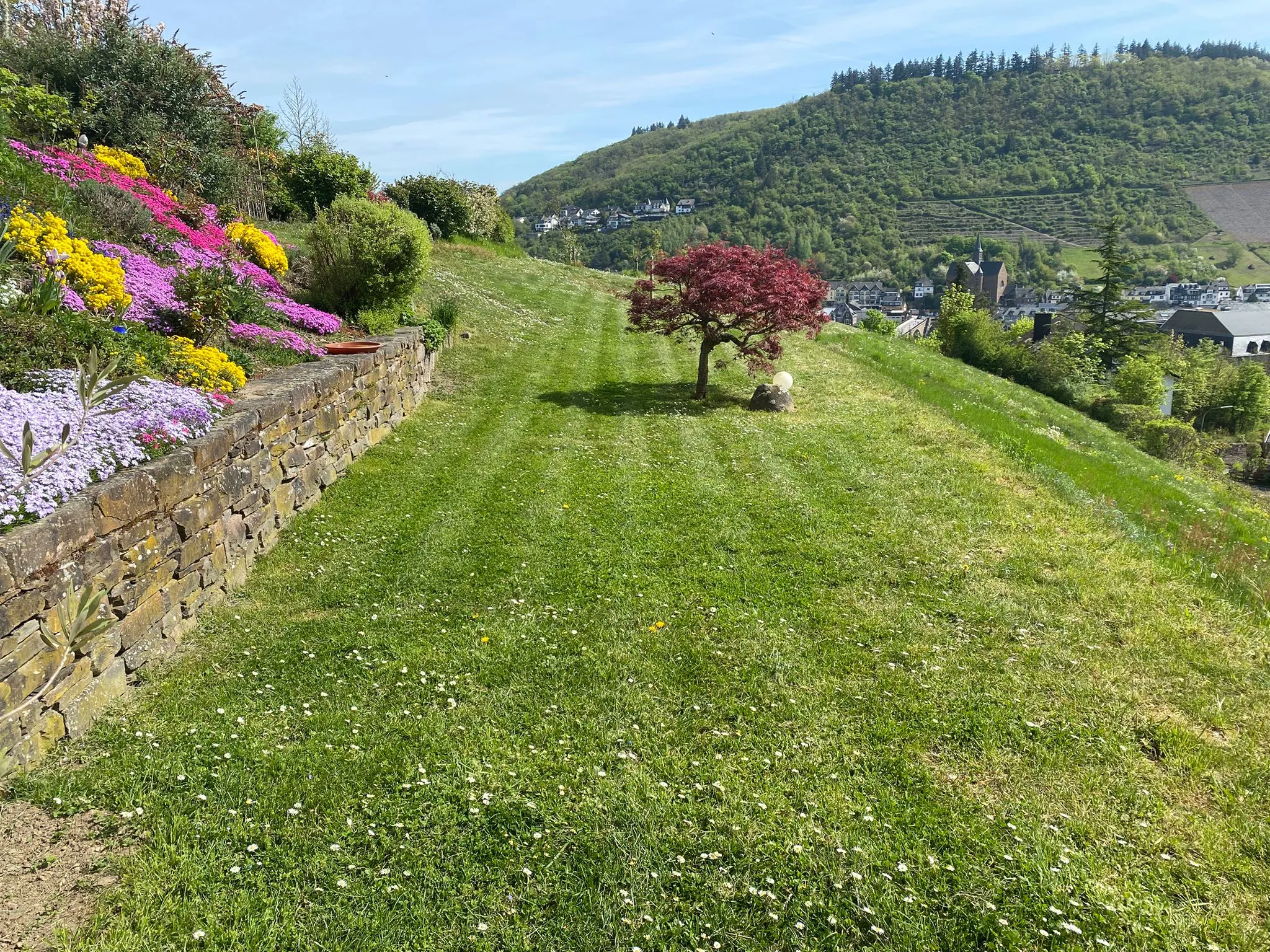 Garten der Ferienwohnung Maringer in Cochem